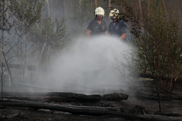 Zwei Feuerwehrleute in Helmen sprühen Wasser auf ein Buschfeuer in einem bewaldeten Gebiet mit Holzstämmen auf dem Boden und Bäumen im Hintergrund.