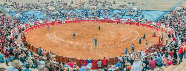 Eine große Menschenmenge schaut bei einem Stierkampf in einer Arena zu, wobei Personen stehen, sitzen und Gegenstände halten, während eine Person mit Hut unten sichtbar ist.