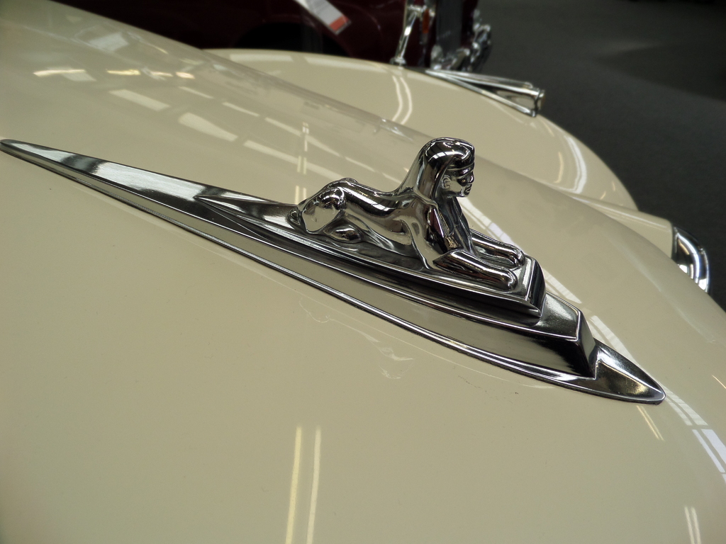 Autologos auf der Front diverser Autos