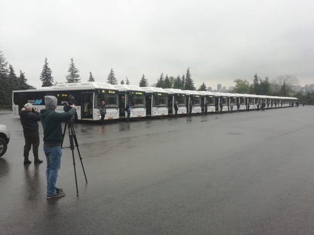 Eine Gruppe von Menschen, die Fotos von einer Reihe von Bussen machen, die auf einer Straße mit Bäumen, Gebäuden und einem klaren blauen Himmel im Hintergrund geparkt sind.