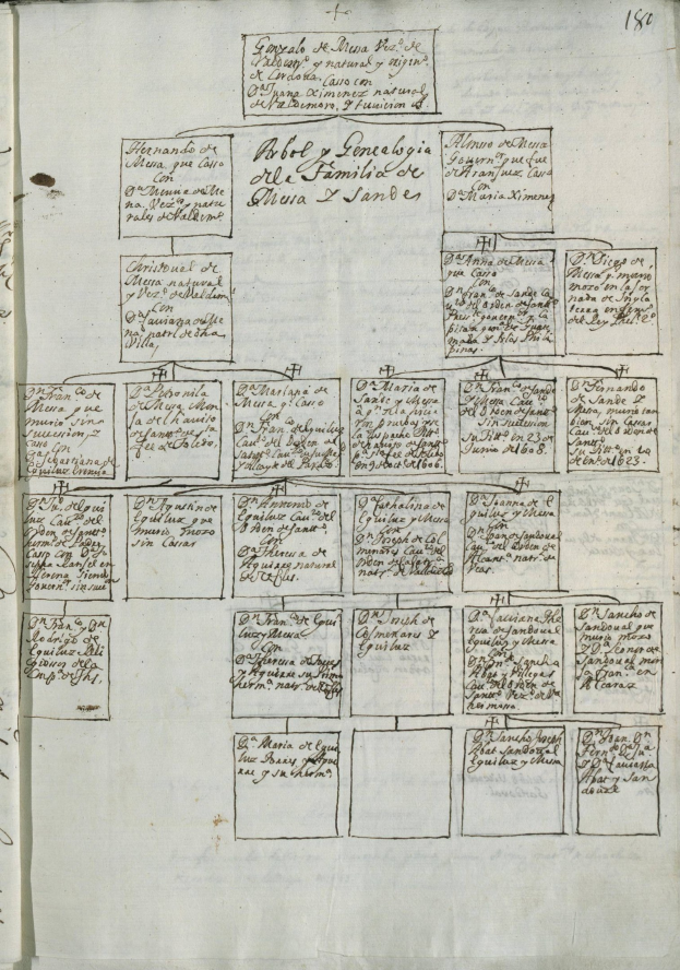 Offenes Buch mit einer handgezeichneten Familienbaum-Illustration neben dichtem Text und numerischen Einträgen.