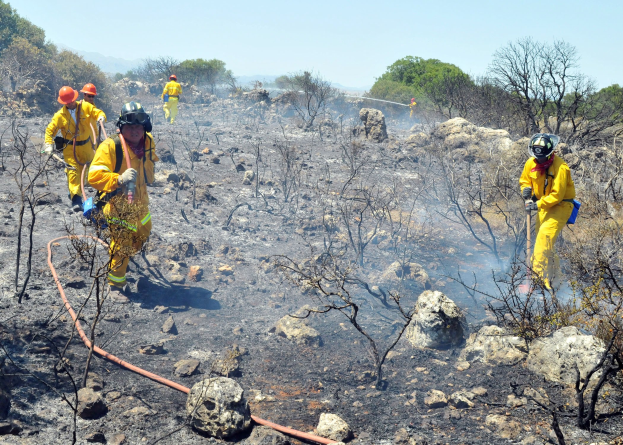 Feuerwehrleute in gelben Uniformen und Helmen gehen durch eine verbrannte Area mit Bäumen, Felsen und einem Rohr im Vordergrund unter einem klaren Himmel.