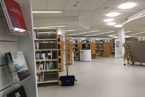 Fußballfieber in der Stadtbibliothek