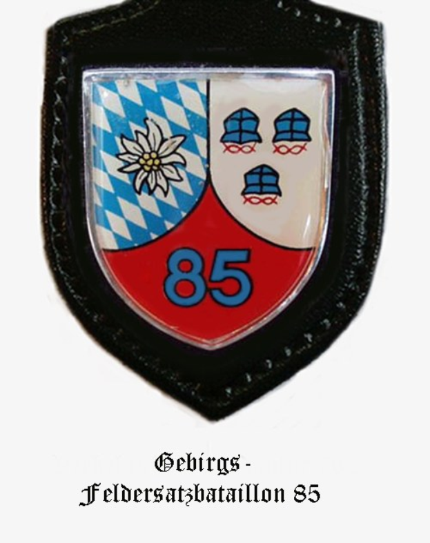 Ein rundes Abzeichen mit der Zahl 85 und dem Logo von FC Bayern München, mit deutscher Schrift am unteren Rand.