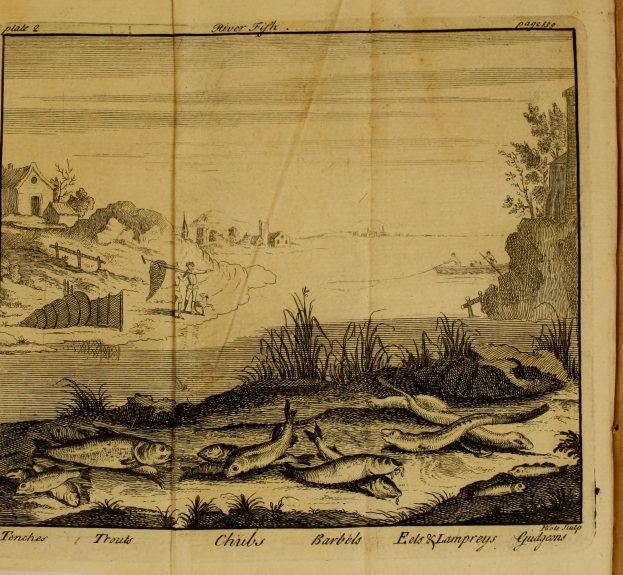Ein aufgeschlagenes Buch, das eine Flussszene mit schwimmenden Fischen zeigt, umgeben von Pflanzen, Bäumen, Häusern und anderen Gegenständen, mit Text unten.