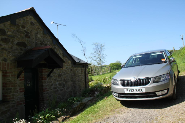 Rechts von einem Auto, das neben Pflanzen, einem Strommast, Gras und Erde geparkt ist. Links gibt es Pflanzen, Blumen, Bäume, einen Zaun, ein Haus und einen Mast unter einem sonnigen Himmel.