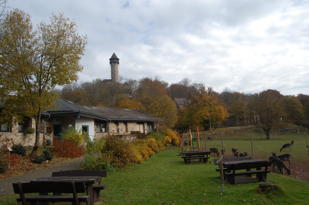Ein Park mit Bänken, Tischen, saftig grünem Rasen, Pflanzen, Bäumen, einem Gebäude mit Fenstern und einem Turm im Hintergrund, weißen Wolken am Himmel und grasenden Tieren.
