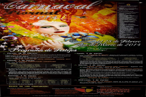 Eine Frau in einem bunten Kleid, die lacht, umgeben von der fettgedruckten Schrift "Carnaval Festival 2014" auf einem leuchtend gelben Hintergrund.