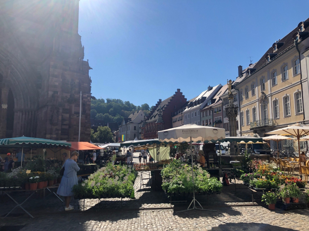 Ein belebter Markt im alten Stadtzentrum von Heidelberg, Deutschland, mit Menschen an Tischen mit Blumentöpfen unter Schirmen vor Gebäuden, Bäumen und einem klaren blauen Himmel.