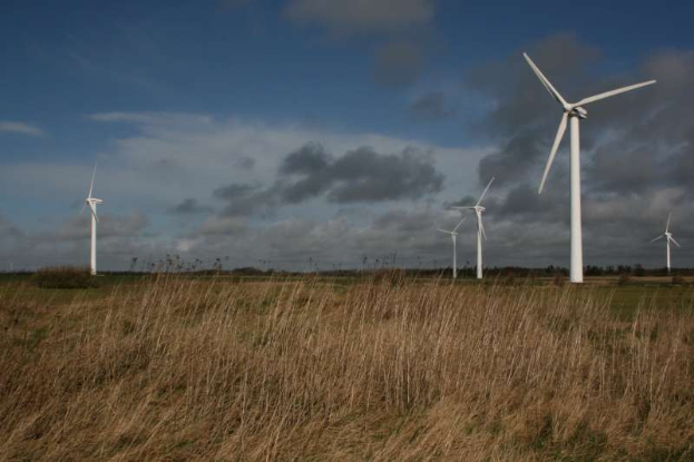Ein Windkraftwerk im Grünen mit Bäumen im Hintergrund und Wolken am Himmel, beschriftet als Windpark in den Niederlanden.