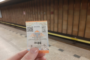 Eine Person, die eine Fahrkarte in einer U-Bahn-Station hochhölt, mit einem Bahnsteig auf der linken Seite und einer Wand im Hintergrund.