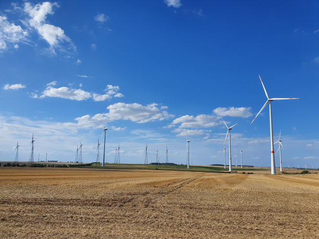 Windräder in einer grünen Wiese mit Bäumen unter einem bewölkten Himmel.