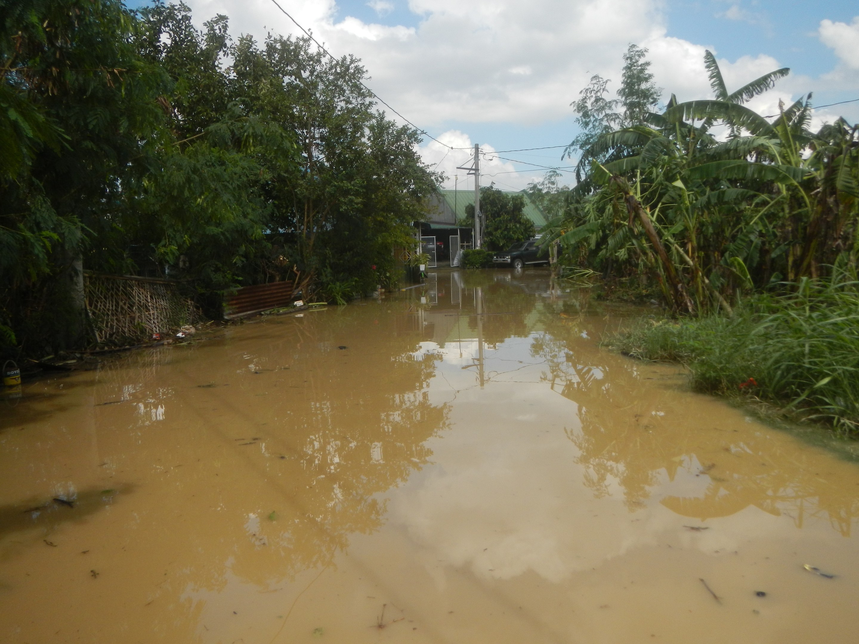 Überschwemmte Landstraße mit Wasser auf der Straße, umgeben von Pflanzen und Bäumen, ein Auto auf der rechten Seite geparkt und beschädigte Häuser im Hintergrund bei bewölktem Himmel.