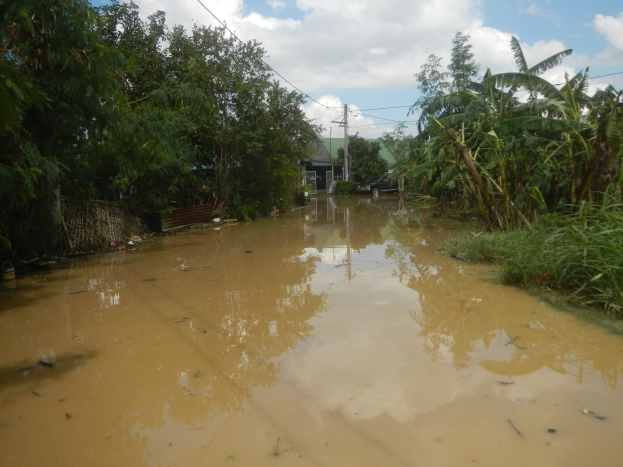 Überschwemmte Landstraße mit Wasser auf der Straße, umgeben von Pflanzen und Bäumen, ein Auto auf der rechten Seite geparkt und beschädigte Häuser im Hintergrund bei bewölktem Himmel.