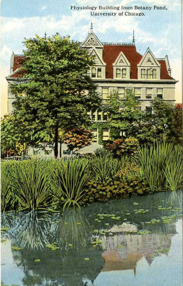 Schwarz-weiß-Postkarte des Physiologiegebäudes an der University of Chicago, betrachtet von Botany Pond mit üppiger Vegetation und einem bewölkten Himmel.