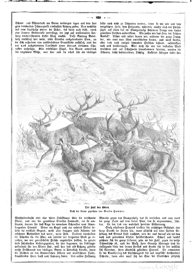 Eine Buchseite mit einer detaillierten Illustration einer Herde von Elchen, die über die Seite läuft, mit begleitendem Text, der die Szene beschreibt.