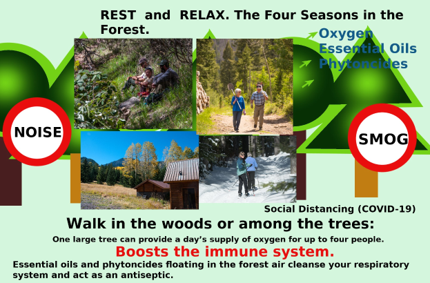 Plakat, das einen Waldausflug mit Bildern von Menschen, die zwischen Bäumen und in der Nähe eines Hauses gehen, zeigt, mit dem Text "Ruhen und Entspannen die vier Jahreszeiten im Wald."