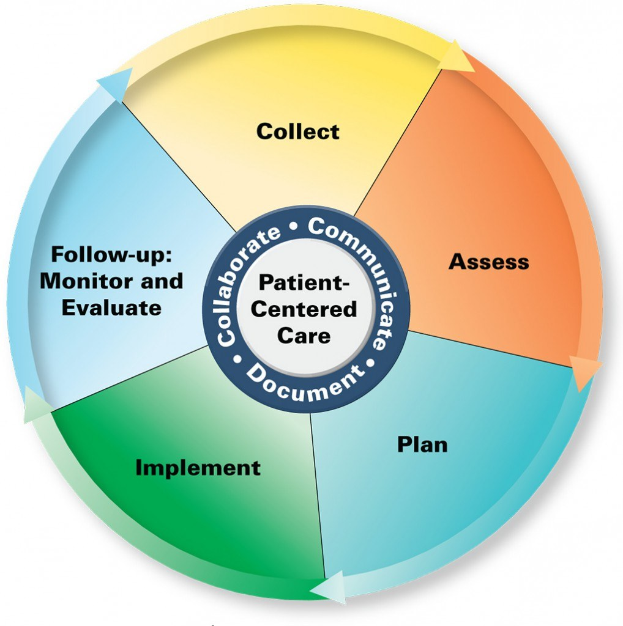 Ein Kreisdiagramm mit der Überschrift "patientenorientierte Pflege" und vier farbigen Abschnitten, jeweils mit einer spezifischen Pflegedimension beschriftet.